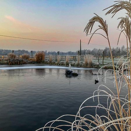 De Worfthoeve Bed & Breakfast Гел Екстериор снимка
